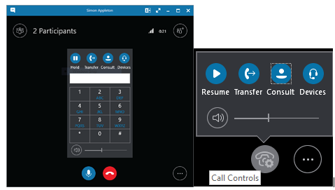 Skype for Business 2016 on Windows: Consultative Transfer ...
