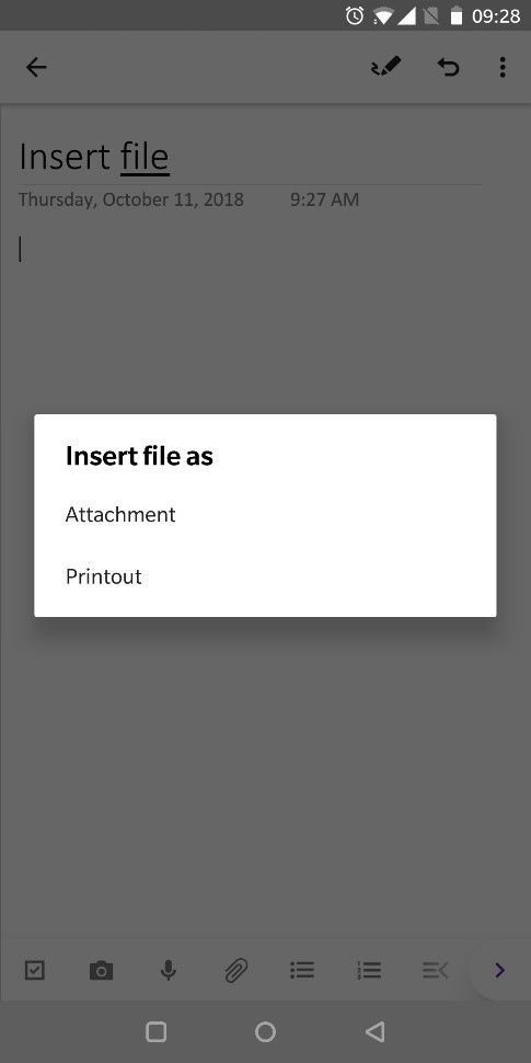 OneNote - Insert file.jpg