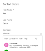 SearchCompany from BING2.png