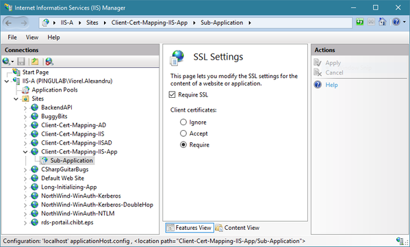 SSL Settings for the sub-application