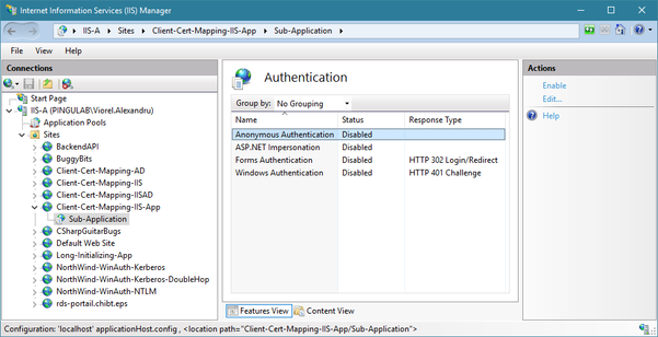 Authentication settings for the sub-application