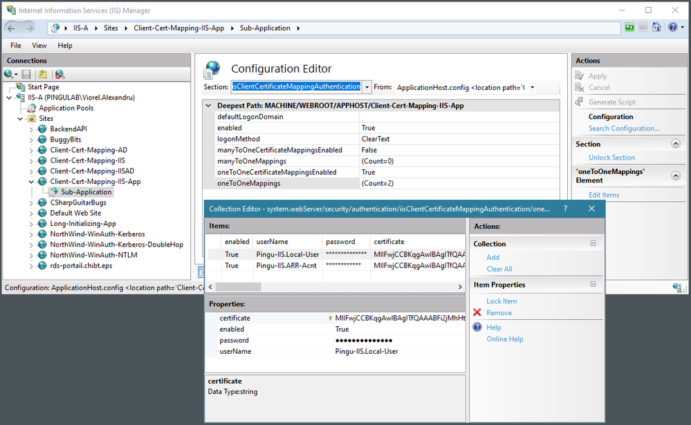 IIS client certificate mappings for authenticating the requests in the sub-application