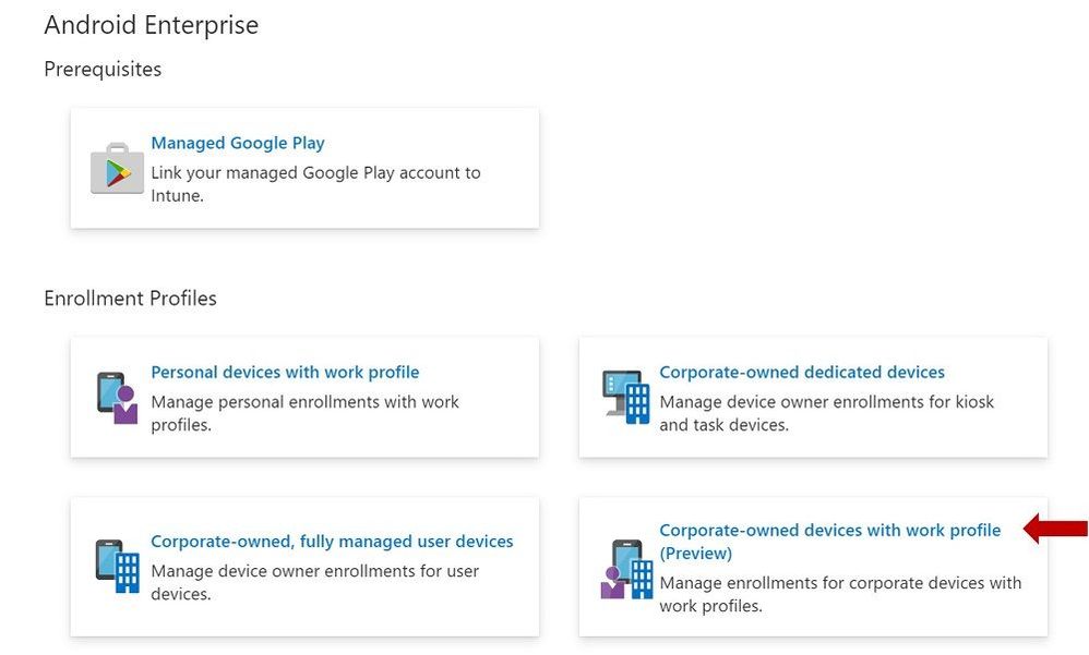 Enrollment Profiles | Corporate-owned devices with work profile (Preview)