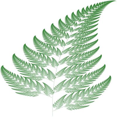 Computer generated fern by Laug (created with Processing)