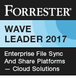 2017Q4_Enterprise File Sync And Share Platforms — Cloud Solutions_140078.png